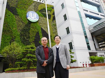 北京公司绿化墙项目服务