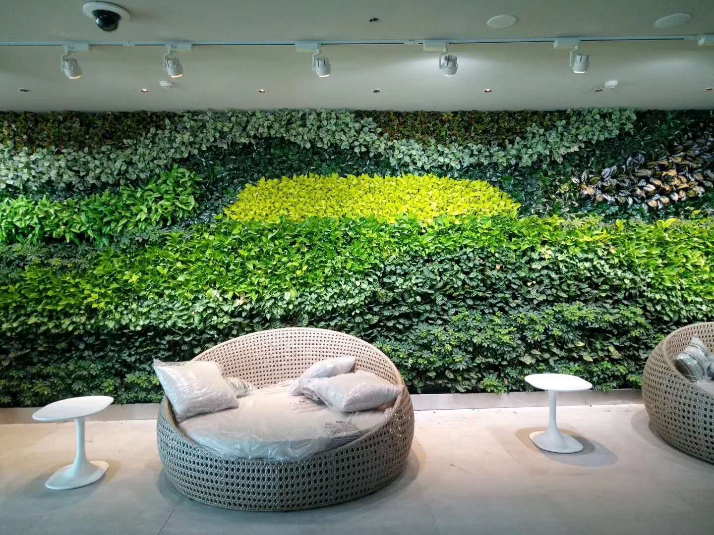 室内植物墙的植物如何进行补光