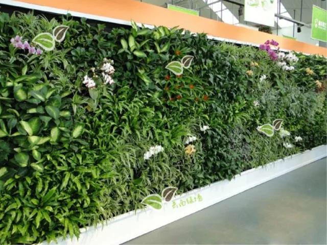 植物墙设计容易出现的几个误区